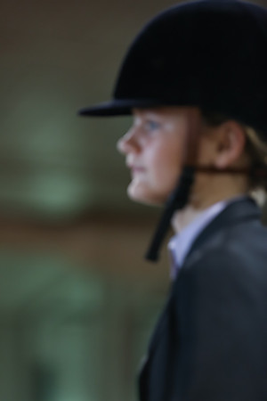 www.ngaphoto.com 2015 Georgia Federation of Saddle Clubs Championship Horse Show