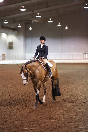 www.ngaphoto.com 2015 Georgia Federation of Saddle Clubs Championship Horse Show