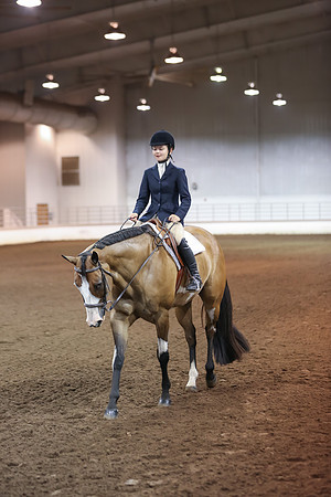 www.ngaphoto.com 2015 Georgia Federation of Saddle Clubs Championship Horse Show