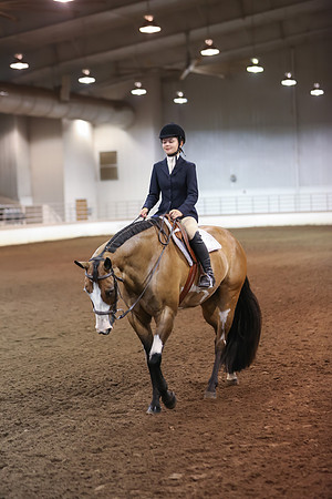www.ngaphoto.com 2015 Georgia Federation of Saddle Clubs Championship Horse Show