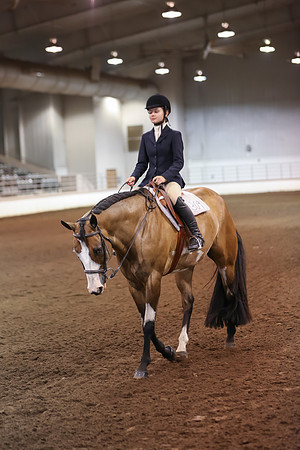 www.ngaphoto.com 2015 Georgia Federation of Saddle Clubs Championship Horse Show