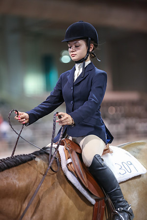 www.ngaphoto.com 2015 Georgia Federation of Saddle Clubs Championship Horse Show