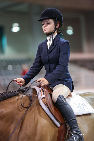 www.ngaphoto.com 2015 Georgia Federation of Saddle Clubs Championship Horse Show