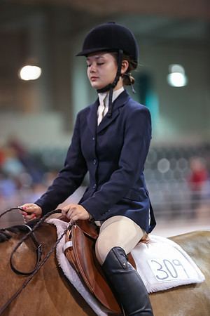 www.ngaphoto.com 2015 Georgia Federation of Saddle Clubs Championship Horse Show