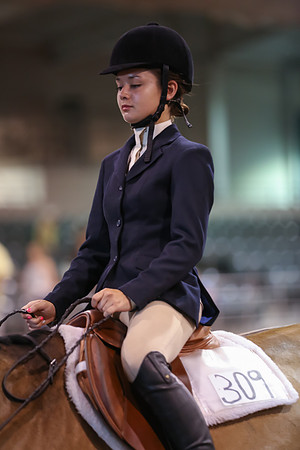 www.ngaphoto.com 2015 Georgia Federation of Saddle Clubs Championship Horse Show