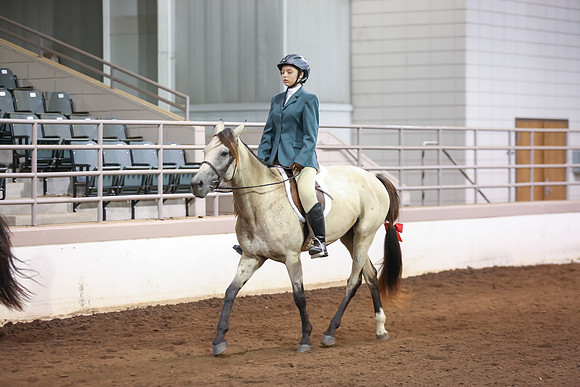 www.ngaphoto.com 2015 Georgia Federation of Saddle Clubs Championship Horse Show