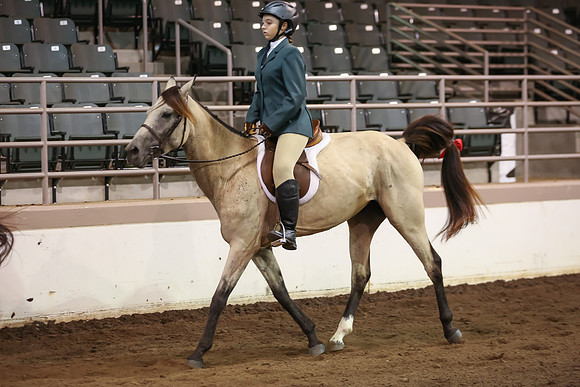 www.ngaphoto.com 2015 Georgia Federation of Saddle Clubs Championship Horse Show