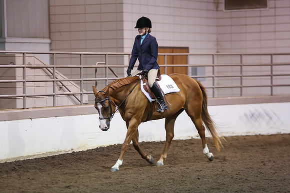 www.ngaphoto.com 2015 Georgia Federation of Saddle Clubs Championship Horse Show