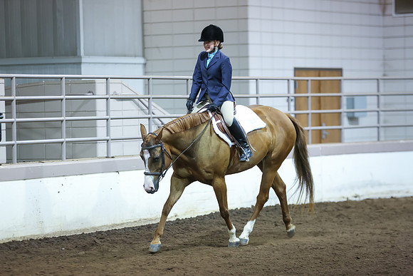 www.ngaphoto.com 2015 Georgia Federation of Saddle Clubs Championship Horse Show