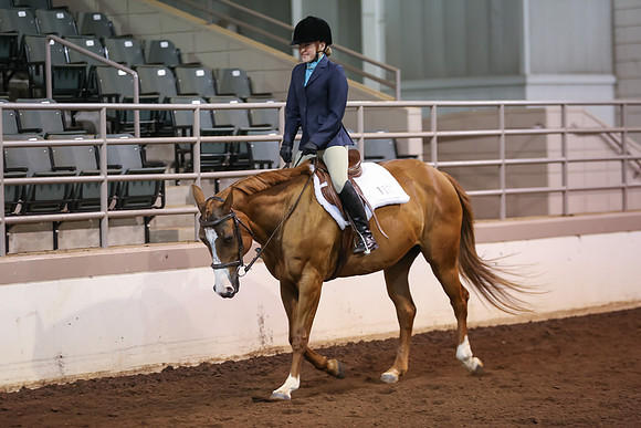 www.ngaphoto.com 2015 Georgia Federation of Saddle Clubs Championship Horse Show