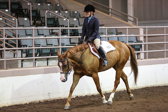 www.ngaphoto.com 2015 Georgia Federation of Saddle Clubs Championship Horse Show