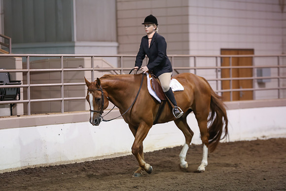 www.ngaphoto.com 2015 Georgia Federation of Saddle Clubs Championship Horse Show
