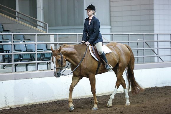 www.ngaphoto.com 2015 Georgia Federation of Saddle Clubs Championship Horse Show