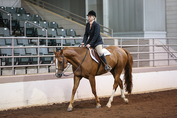 www.ngaphoto.com 2015 Georgia Federation of Saddle Clubs Championship Horse Show