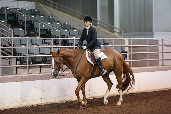 www.ngaphoto.com 2015 Georgia Federation of Saddle Clubs Championship Horse Show