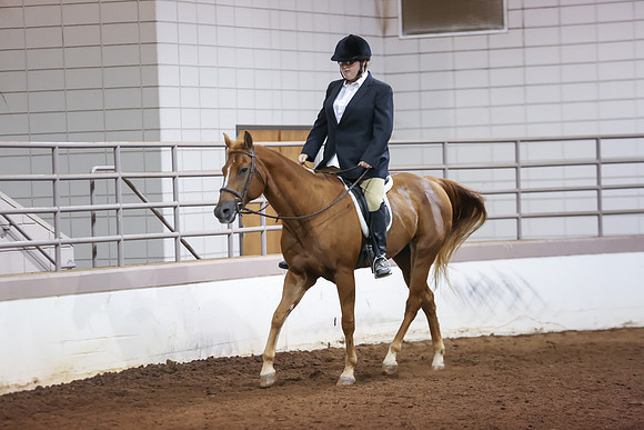 www.ngaphoto.com 2015 Georgia Federation of Saddle Clubs Championship Horse Show