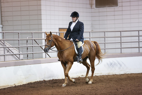 www.ngaphoto.com 2015 Georgia Federation of Saddle Clubs Championship Horse Show