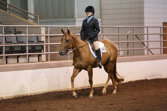 www.ngaphoto.com 2015 Georgia Federation of Saddle Clubs Championship Horse Show