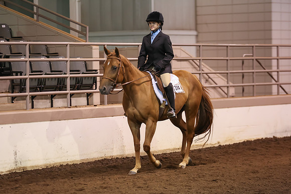 www.ngaphoto.com 2015 Georgia Federation of Saddle Clubs Championship Horse Show