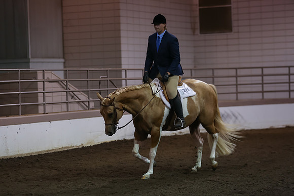 www.ngaphoto.com 2015 Georgia Federation of Saddle Clubs Championship Horse Show
