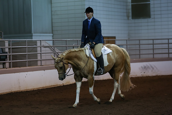 www.ngaphoto.com 2015 Georgia Federation of Saddle Clubs Championship Horse Show