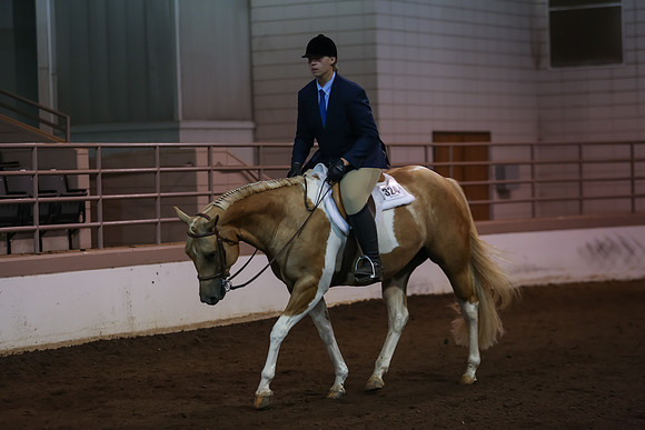 www.ngaphoto.com 2015 Georgia Federation of Saddle Clubs Championship Horse Show
