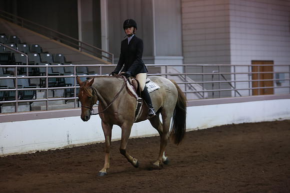 www.ngaphoto.com 2015 Georgia Federation of Saddle Clubs Championship Horse Show