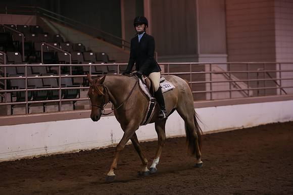 www.ngaphoto.com 2015 Georgia Federation of Saddle Clubs Championship Horse Show