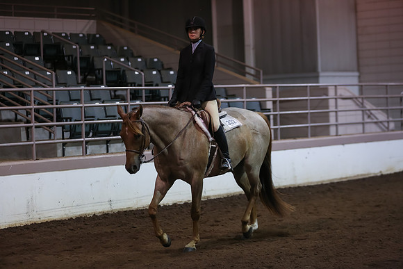 www.ngaphoto.com 2015 Georgia Federation of Saddle Clubs Championship Horse Show