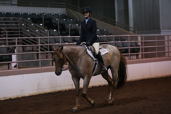 www.ngaphoto.com 2015 Georgia Federation of Saddle Clubs Championship Horse Show