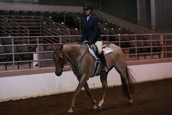 www.ngaphoto.com 2015 Georgia Federation of Saddle Clubs Championship Horse Show