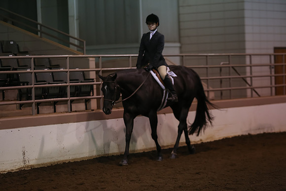 www.ngaphoto.com 2015 Georgia Federation of Saddle Clubs Championship Horse Show