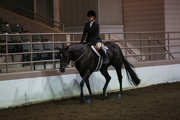 www.ngaphoto.com 2015 Georgia Federation of Saddle Clubs Championship Horse Show
