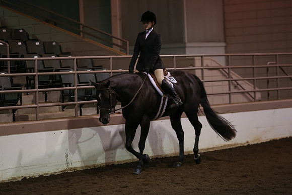 www.ngaphoto.com 2015 Georgia Federation of Saddle Clubs Championship Horse Show