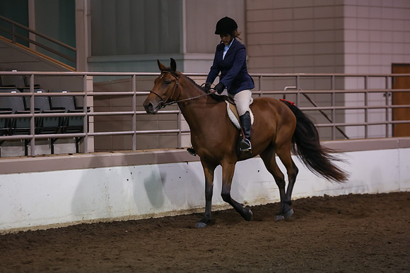 www.ngaphoto.com 2015 Georgia Federation of Saddle Clubs Championship Horse Show