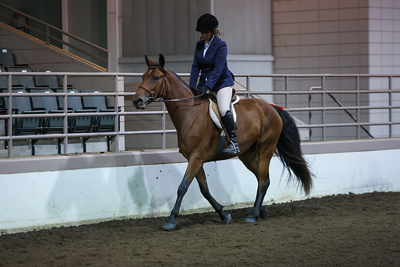 www.ngaphoto.com 2015 Georgia Federation of Saddle Clubs Championship Horse Show