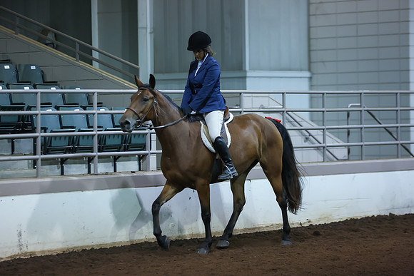 www.ngaphoto.com 2015 Georgia Federation of Saddle Clubs Championship Horse Show