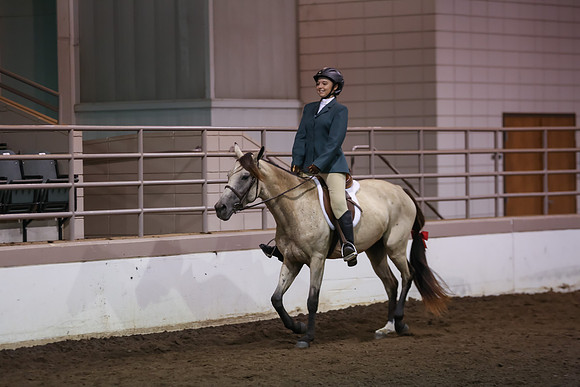 www.ngaphoto.com 2015 Georgia Federation of Saddle Clubs Championship Horse Show