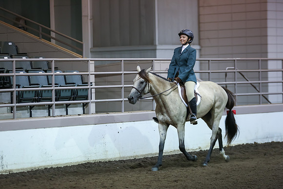 www.ngaphoto.com 2015 Georgia Federation of Saddle Clubs Championship Horse Show