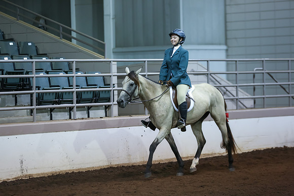 www.ngaphoto.com 2015 Georgia Federation of Saddle Clubs Championship Horse Show