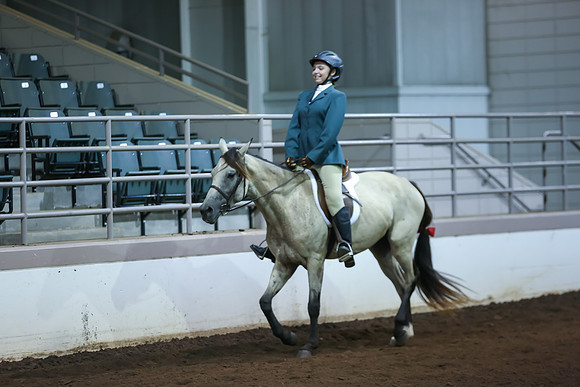 www.ngaphoto.com 2015 Georgia Federation of Saddle Clubs Championship Horse Show