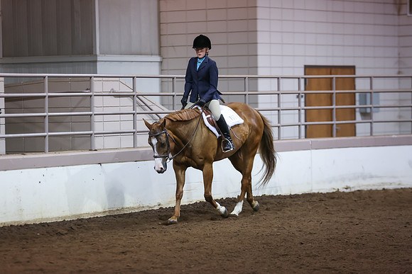 www.ngaphoto.com 2015 Georgia Federation of Saddle Clubs Championship Horse Show