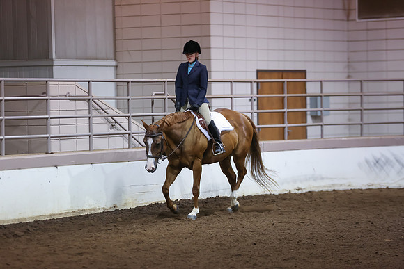 www.ngaphoto.com 2015 Georgia Federation of Saddle Clubs Championship Horse Show
