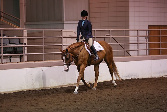 www.ngaphoto.com 2015 Georgia Federation of Saddle Clubs Championship Horse Show