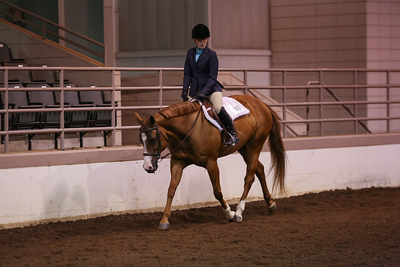 www.ngaphoto.com 2015 Georgia Federation of Saddle Clubs Championship Horse Show