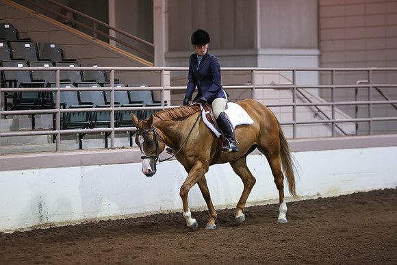 www.ngaphoto.com 2015 Georgia Federation of Saddle Clubs Championship Horse Show