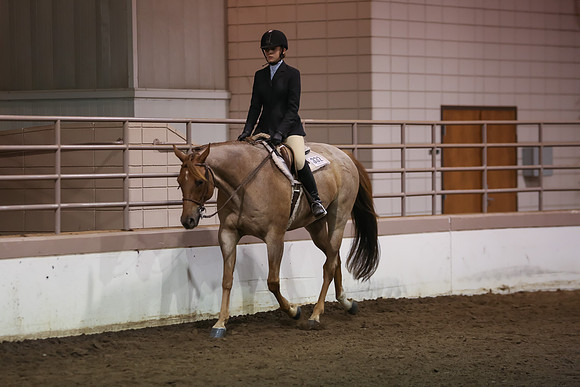 www.ngaphoto.com 2015 Georgia Federation of Saddle Clubs Championship Horse Show