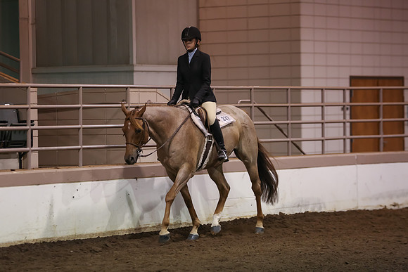 www.ngaphoto.com 2015 Georgia Federation of Saddle Clubs Championship Horse Show
