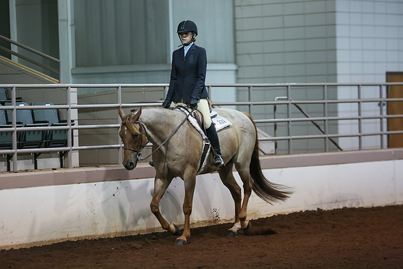 www.ngaphoto.com 2015 Georgia Federation of Saddle Clubs Championship Horse Show