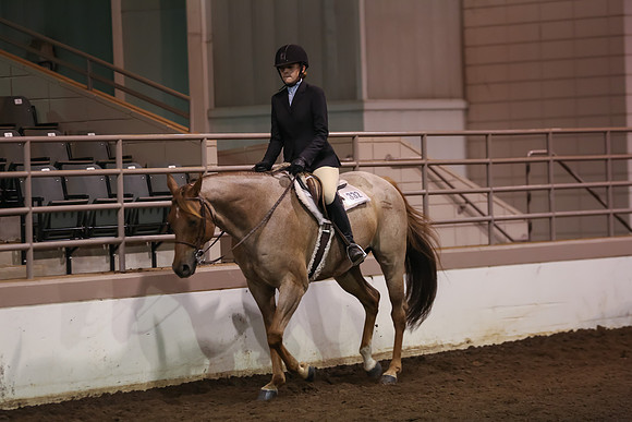 www.ngaphoto.com 2015 Georgia Federation of Saddle Clubs Championship Horse Show